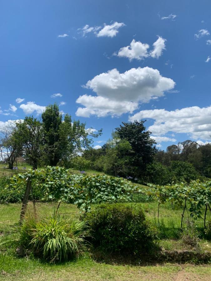 Sitio Vale Dos Vinhedos Villa Bento Gonçalves Dış mekan fotoğraf